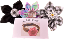 Load image into Gallery viewer, Collar Flower - Cattledog Cookie Co.