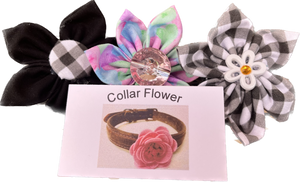 Collar Flower - Cattledog Cookie Co.